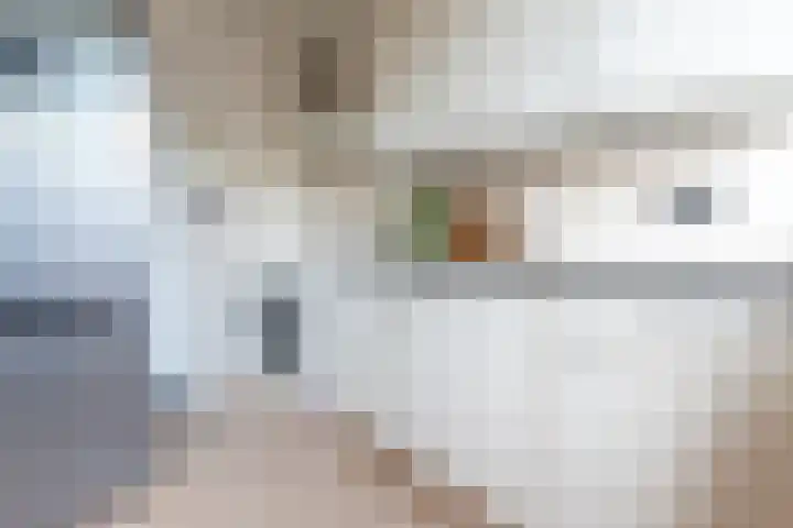 Vlietstraat 9 Schelluinen thumbnail 9