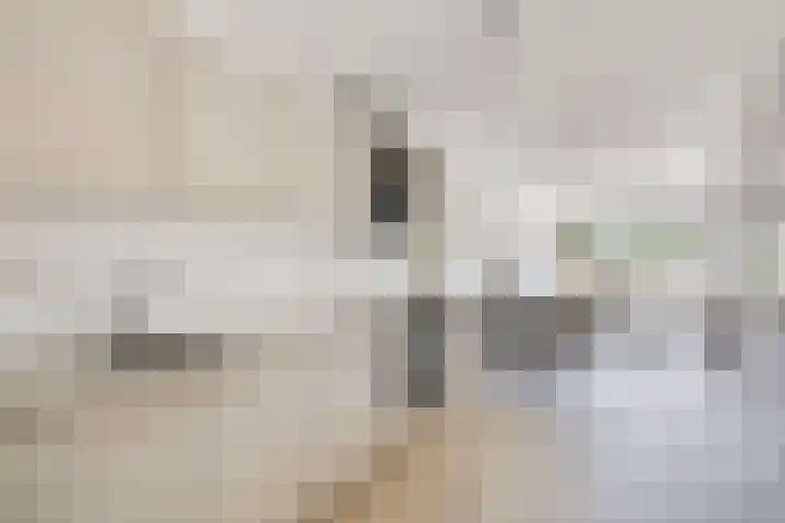 Vlietstroom 1 C Zeewolde thumbnail 12