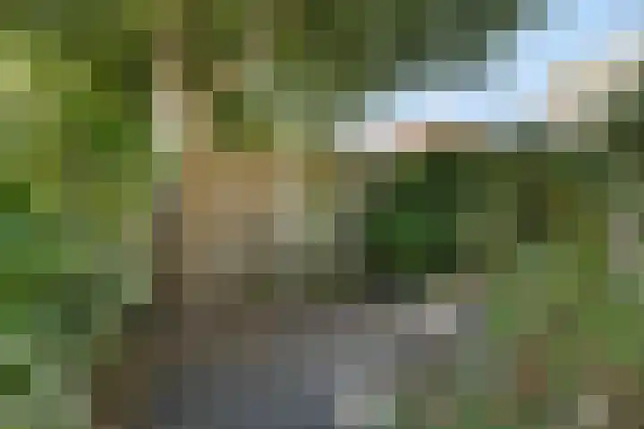 Vlietstroom 23 Zeewolde thumbnail 28