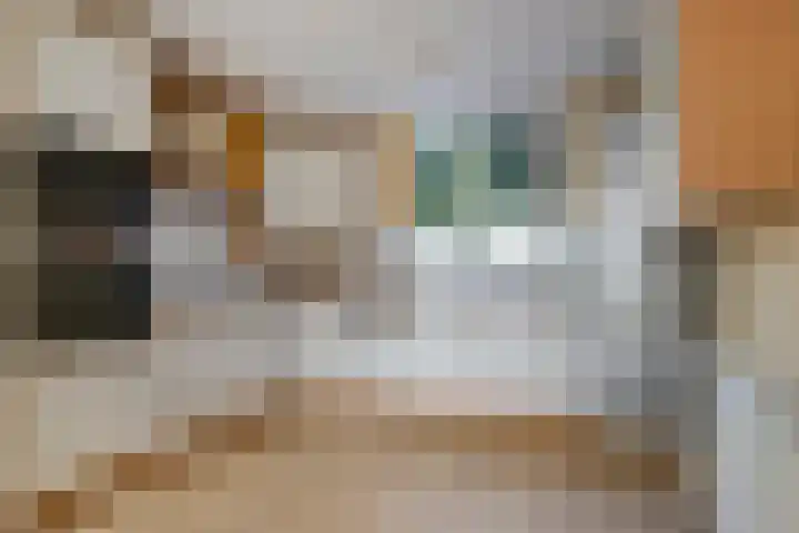 Vlietstroom 23 Zeewolde thumbnail 4