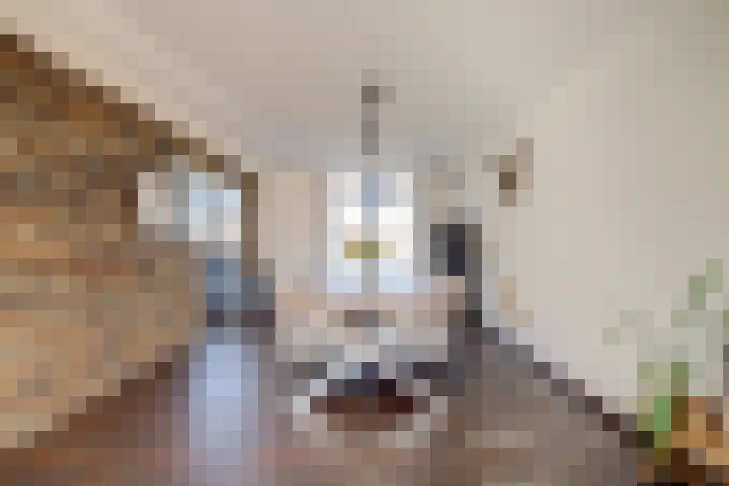 Vlietstroom 31 Zeewolde thumbnail 21
