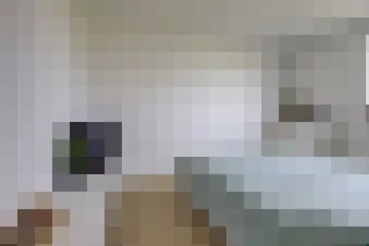 Vlietstroom 75 Zeewolde thumbnail 25
