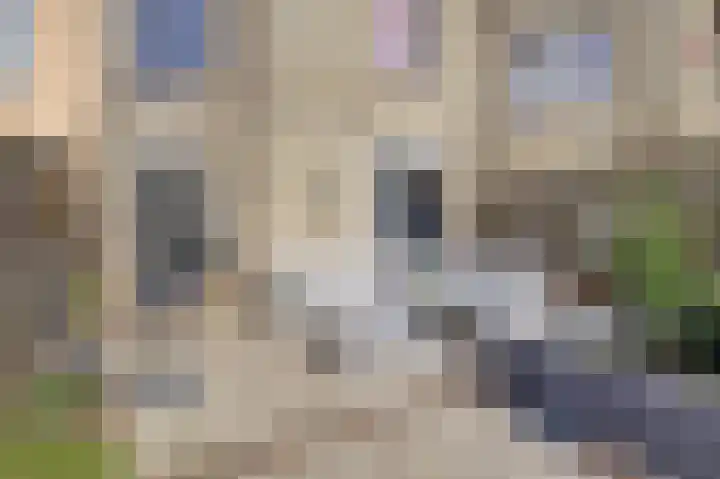 Vlietstroom 75 Zeewolde thumbnail 35