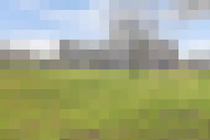 Vlietstroom 75 Zeewolde thumbnail 40