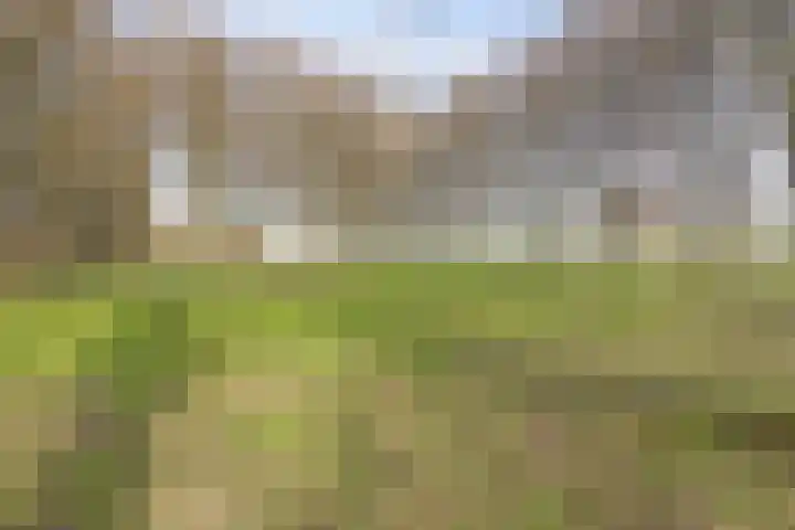 Vlietstroom 75 Zeewolde thumbnail 45