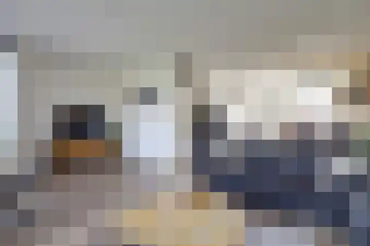 Vlietstroom 75 Zeewolde thumbnail 8