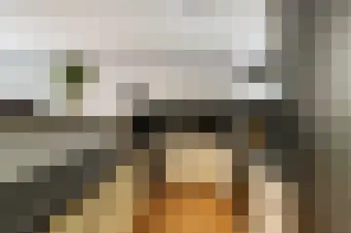 Vlietwaard 103 Alkmaar thumbnail 10
