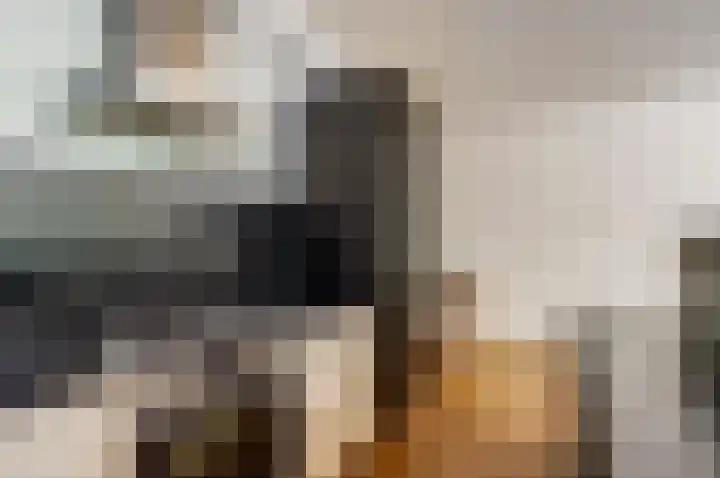 Vlietwaard 103 Alkmaar thumbnail 12