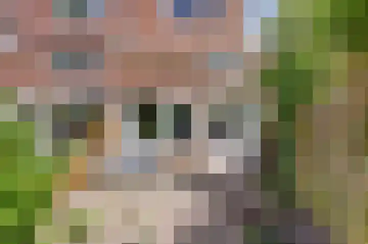 Vlietwaard 103 Alkmaar thumbnail 18