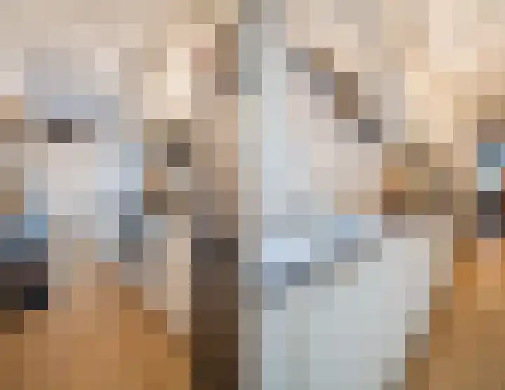 Vlietwaard 108 Alkmaar thumbnail 10