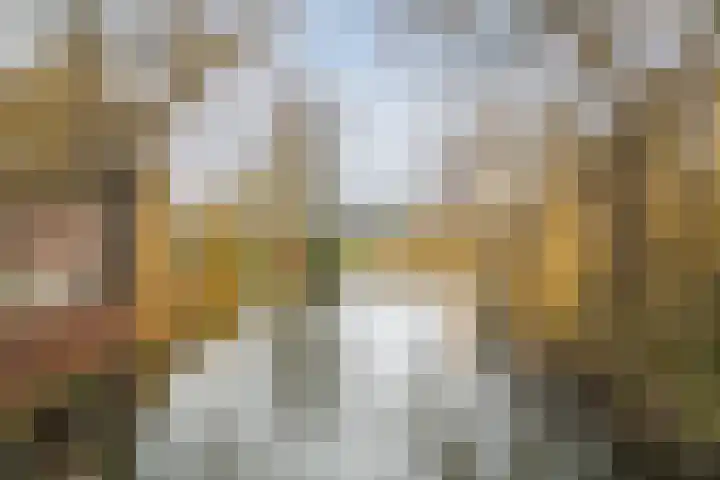 Vlietwaard 108 Alkmaar thumbnail 24