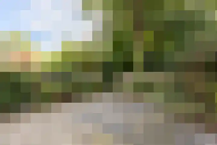 Vlietwaard 111 Alkmaar thumbnail 28
