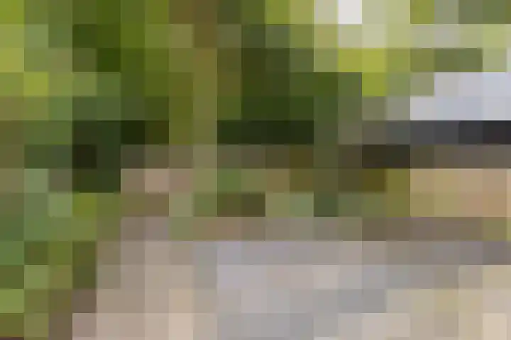 Vlietwaard 111 Alkmaar thumbnail 29