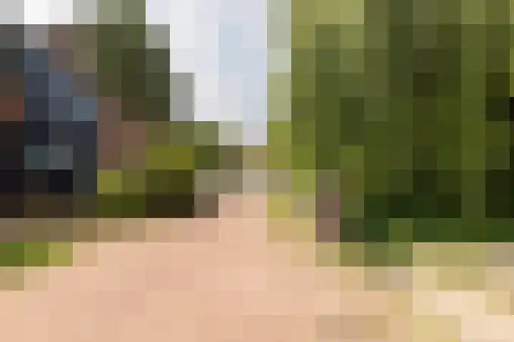 Vlietwaard 111 Alkmaar thumbnail 32