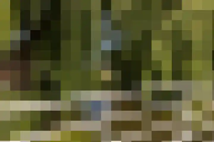 Vlietwaard 111 Alkmaar thumbnail 33