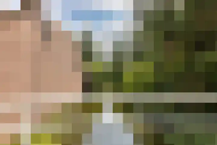 Vlietwaard 111 Alkmaar thumbnail 34