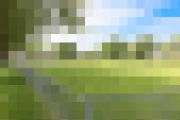Vlietwaard 111 Alkmaar thumbnail 35