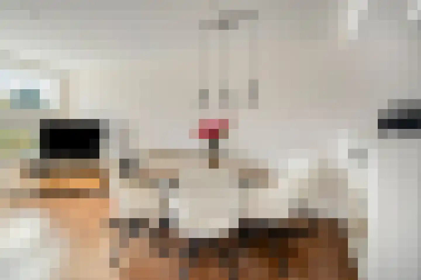 Vlietwaard 13 Alkmaar thumbnail 10