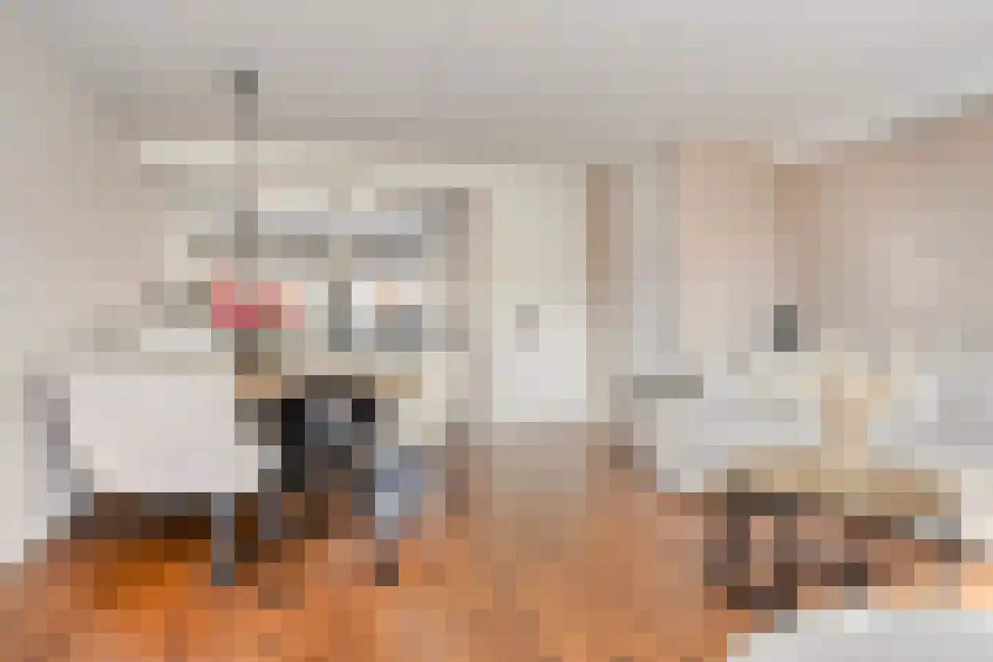 Vlietwaard 13 Alkmaar thumbnail 15