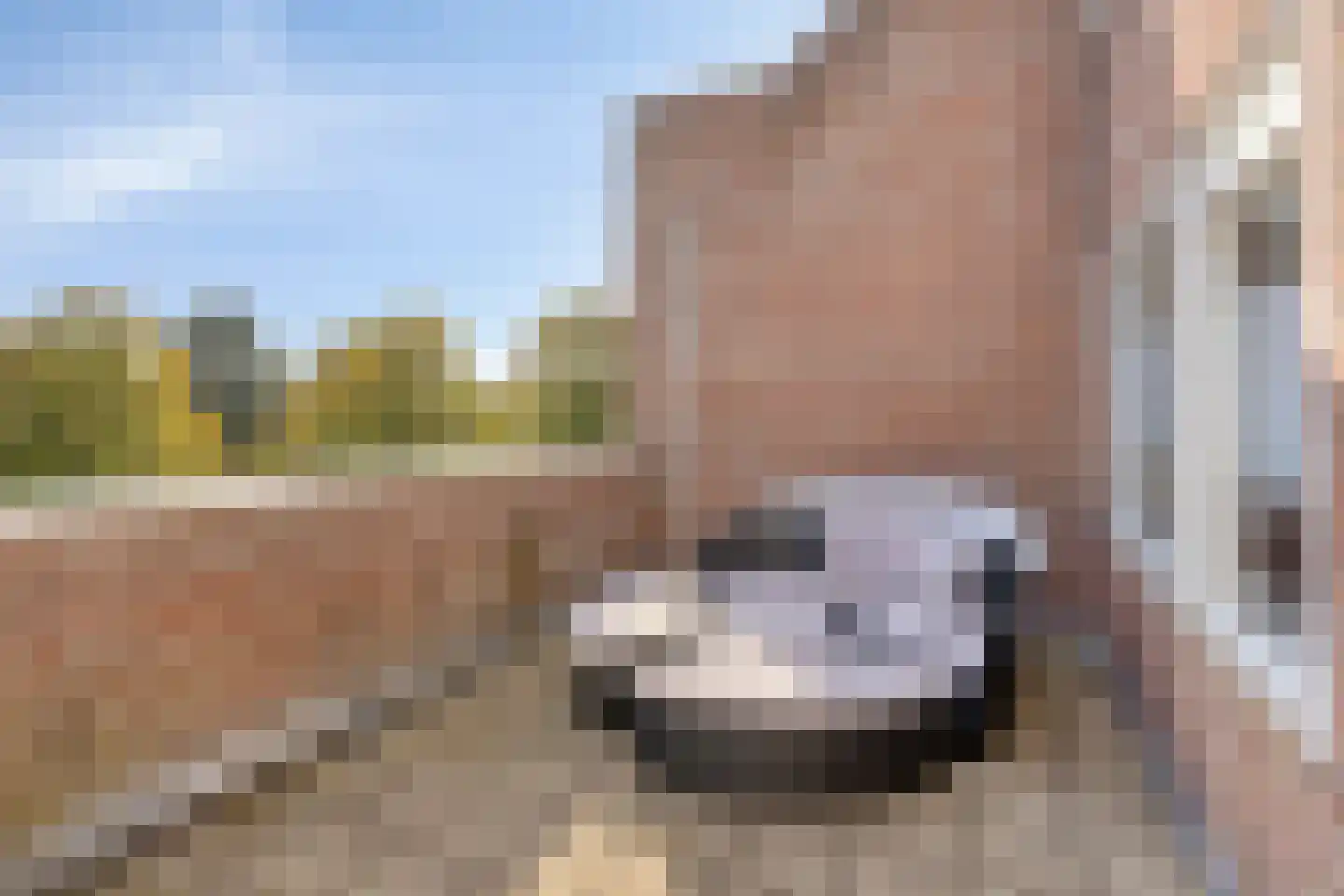 Vlietwaard 13 Alkmaar thumbnail 22
