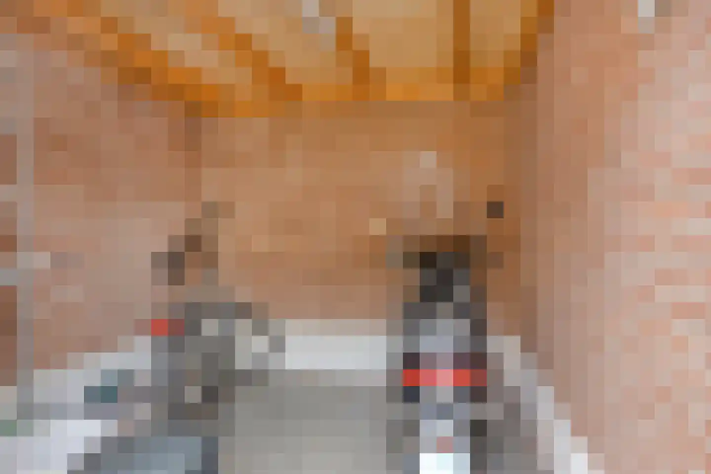 Vlietwaard 13 Alkmaar thumbnail 30