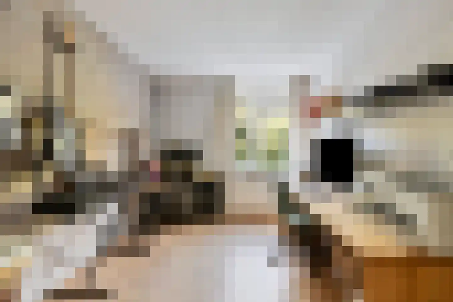 Vlietwaard 149 Alkmaar thumbnail 14