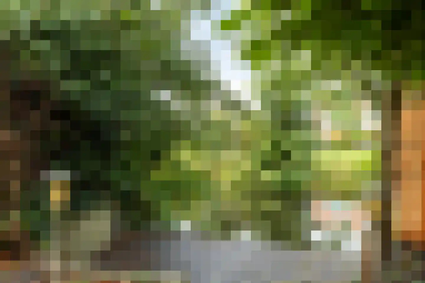 Vlietwaard 149 Alkmaar thumbnail 27