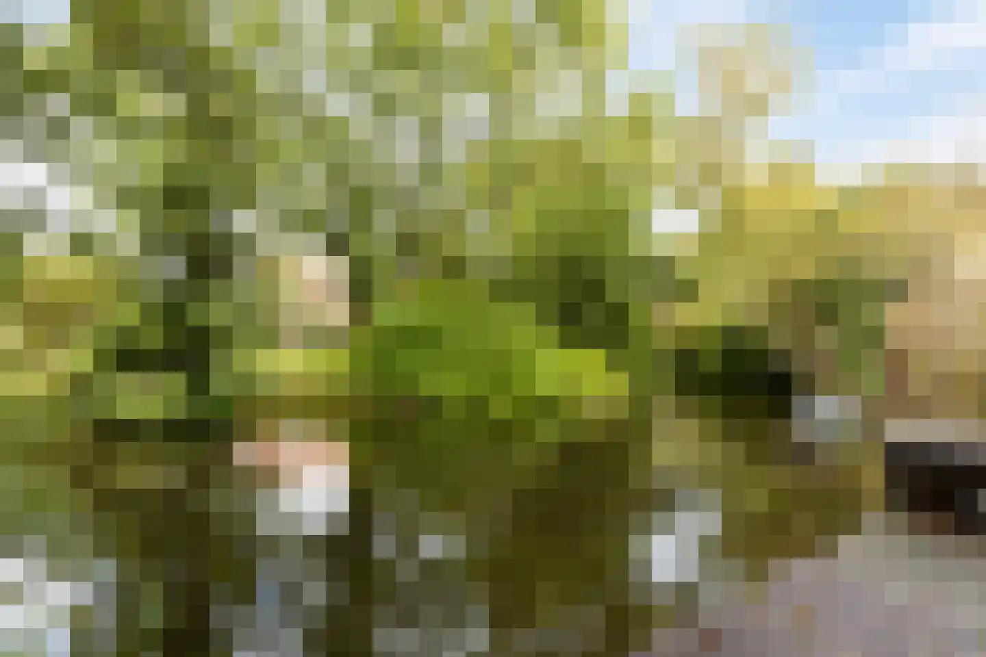 Vlietwaard 149 Alkmaar thumbnail 29