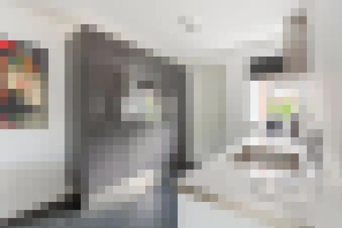 Vlietwaard 150 Alkmaar thumbnail 10