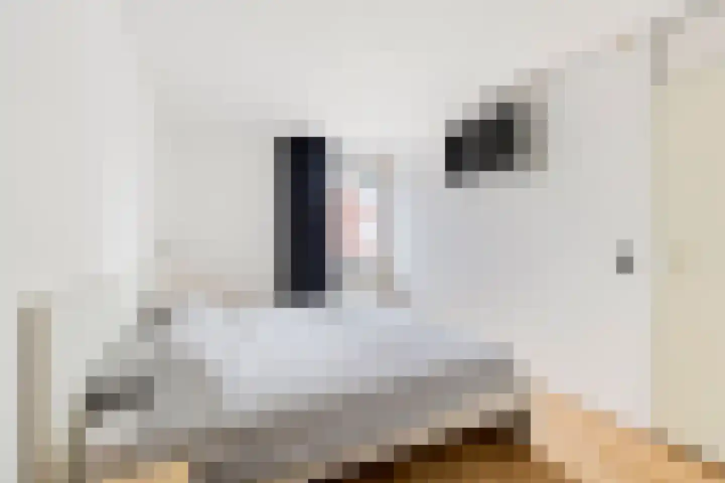 Vlietwaard 150 Alkmaar thumbnail 15