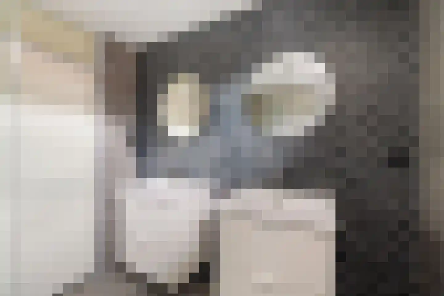 Vlietwaard 150 Alkmaar thumbnail 23
