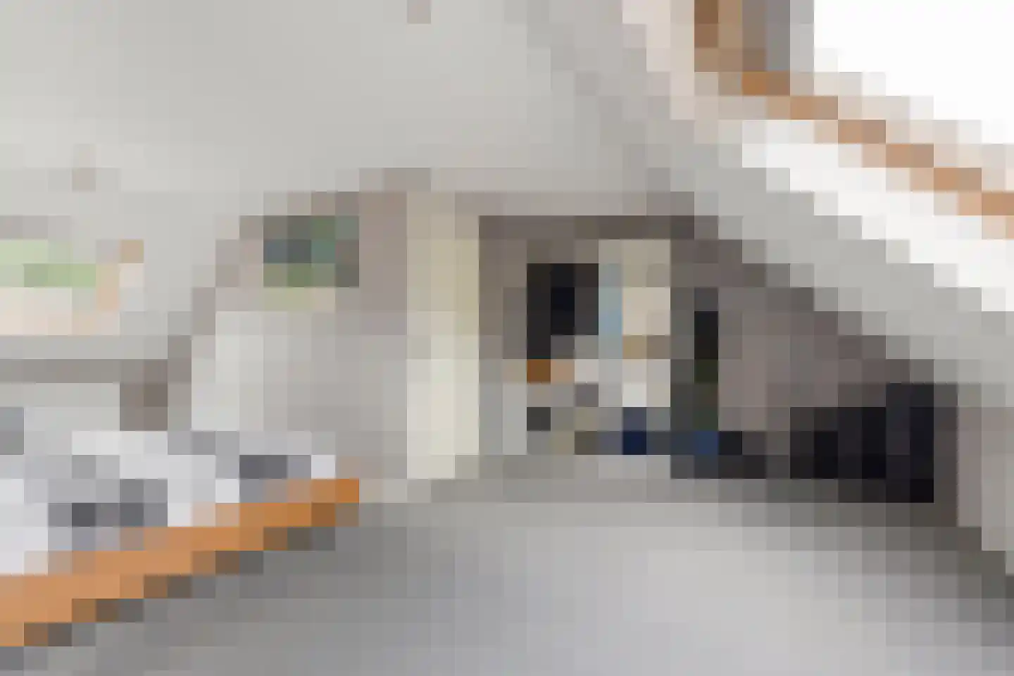 Vlietwaard 150 Alkmaar thumbnail 25