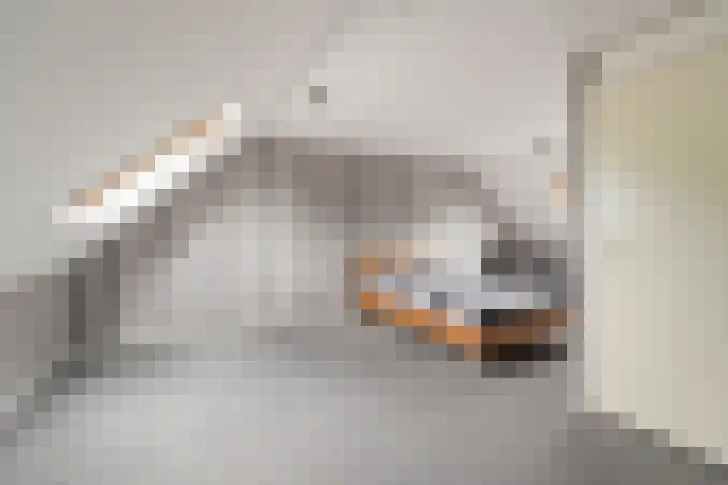 Vlietwaard 150 Alkmaar thumbnail 26