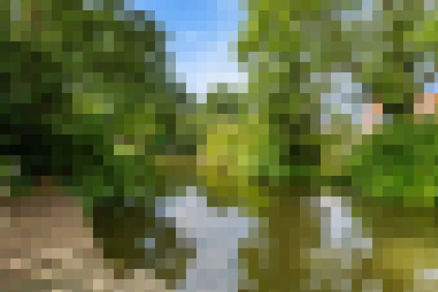 Vlietwaard 150 Alkmaar thumbnail 30