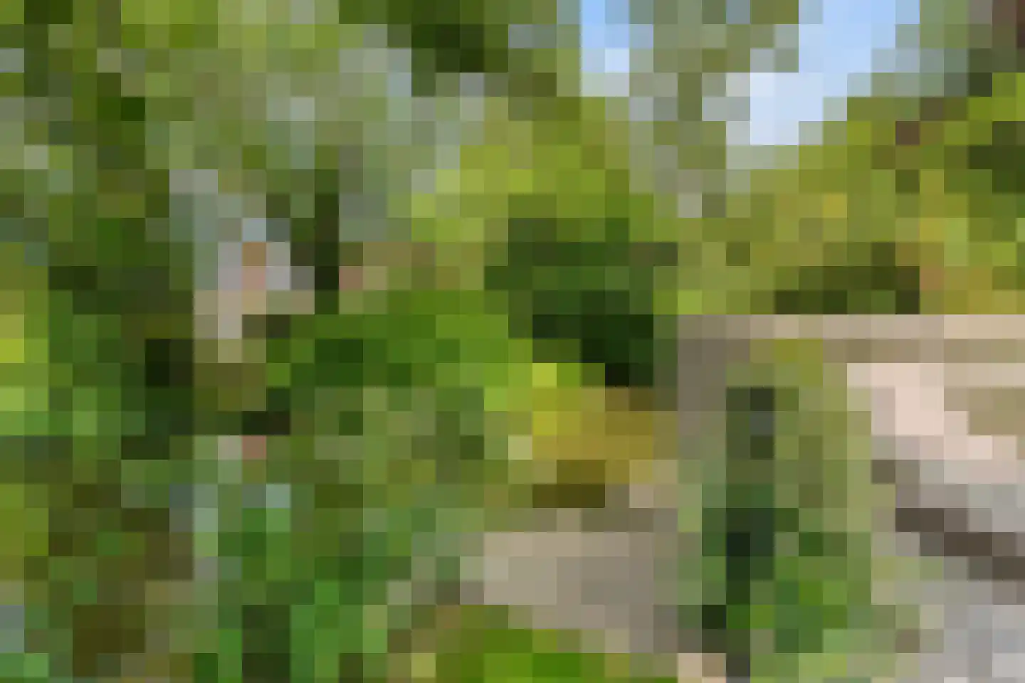 Vlietwaard 150 Alkmaar thumbnail 31