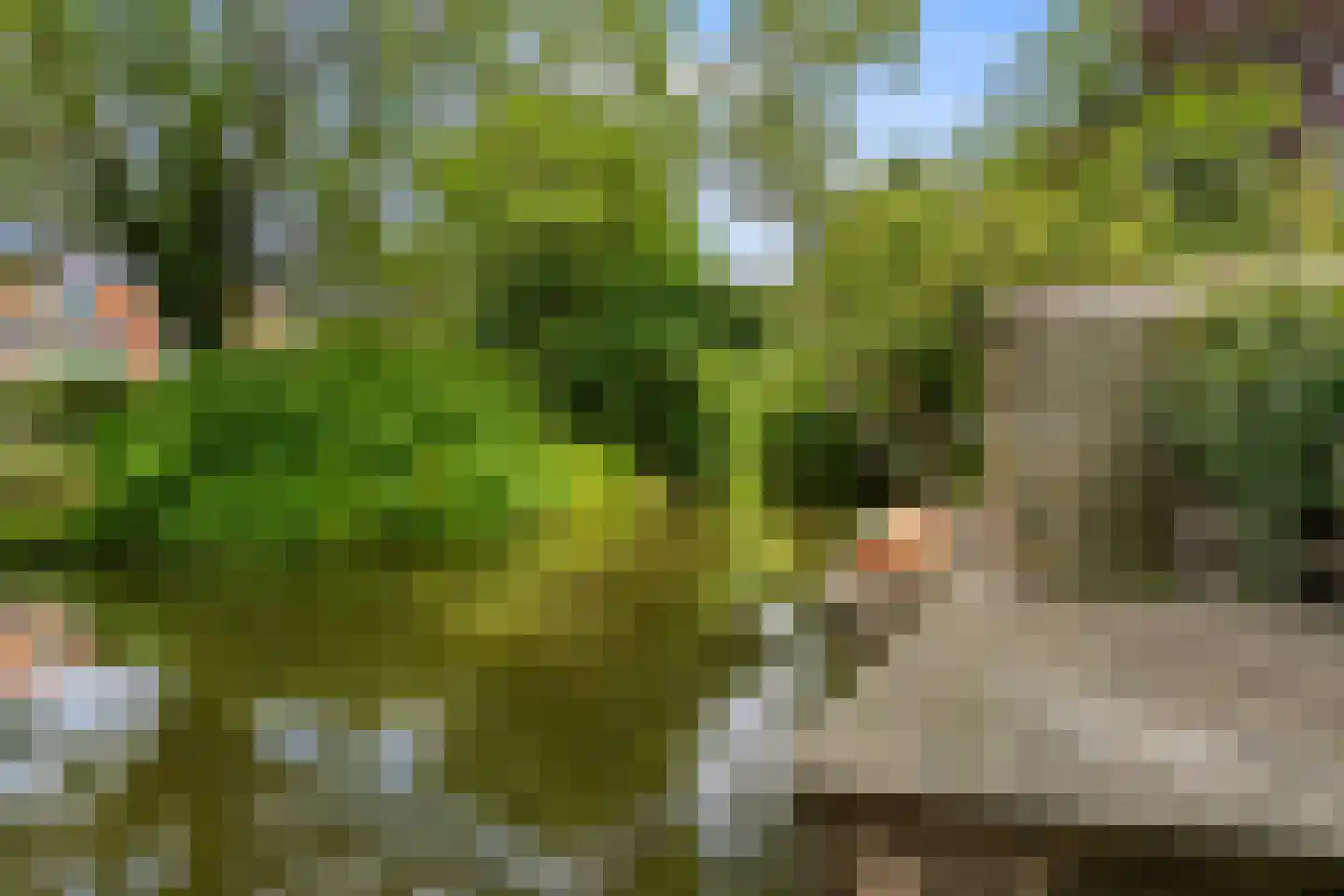 Vlietwaard 150 Alkmaar thumbnail 32