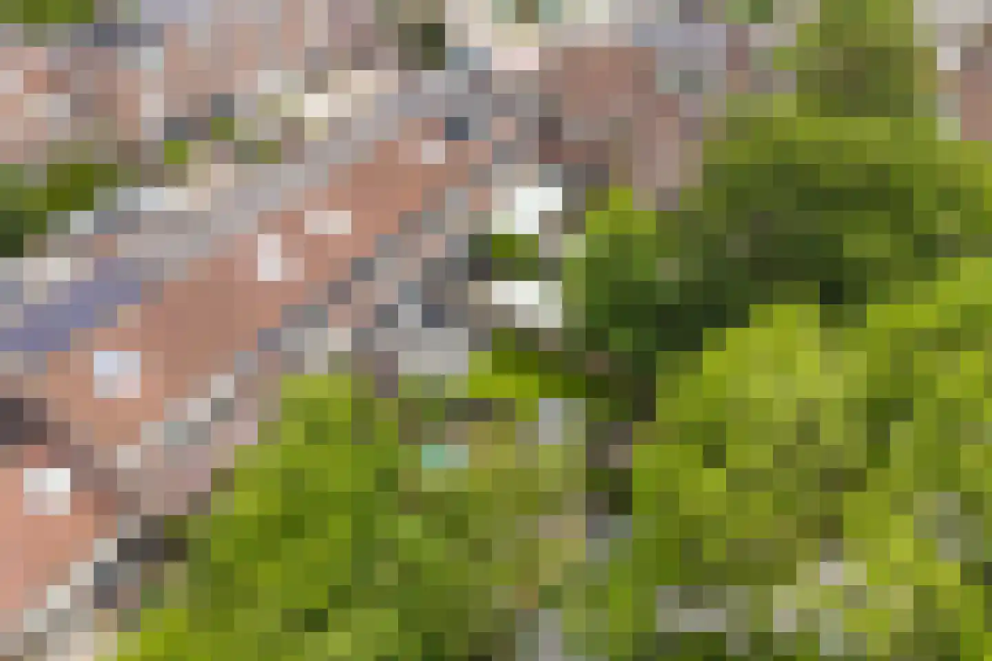 Vlietwaard 150 Alkmaar thumbnail 36