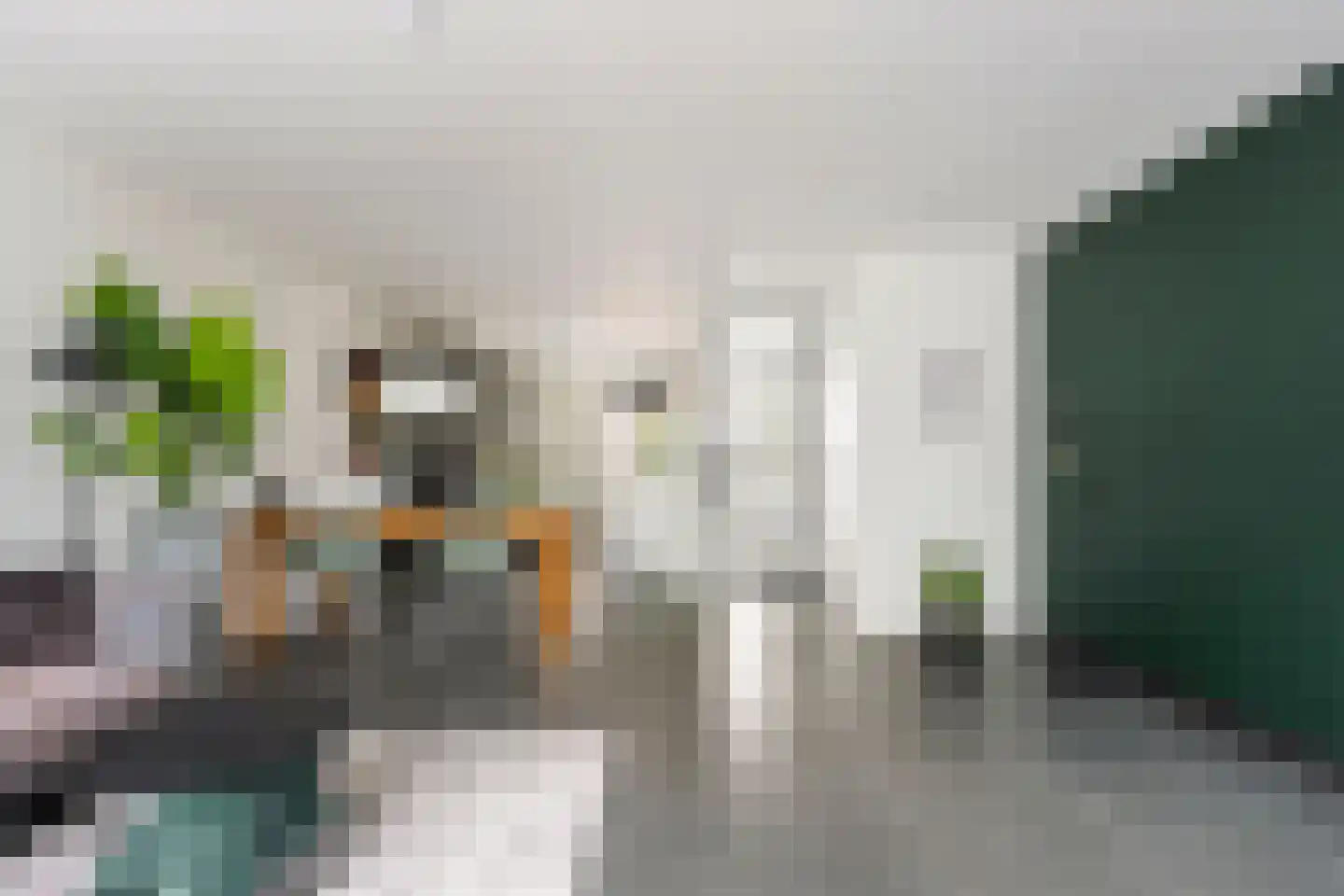 Vlietwaard 150 Alkmaar thumbnail 7