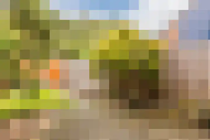 Vlietwaard 168 Alkmaar thumbnail 37