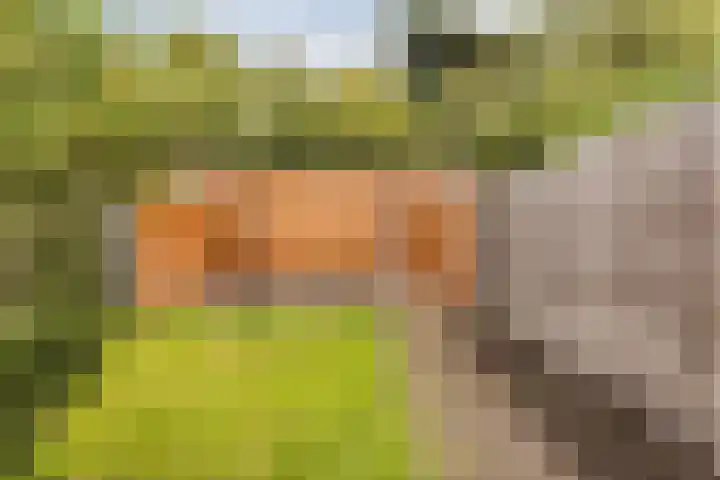 Vlietwaard 168 Alkmaar thumbnail 38