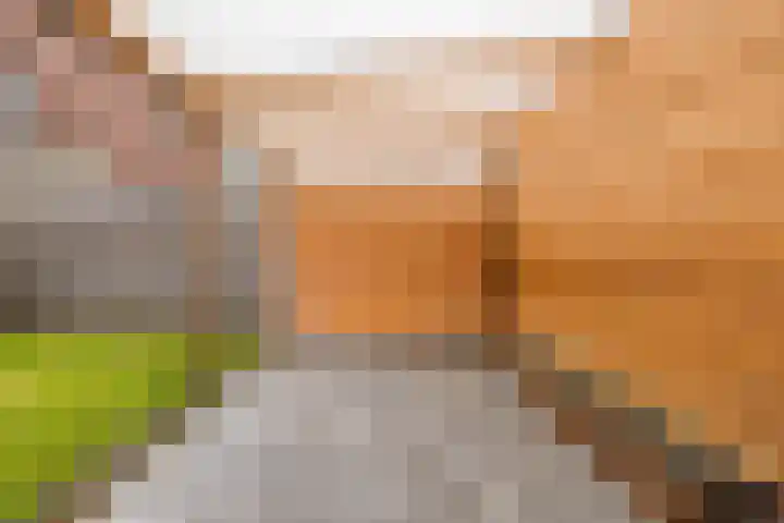 Vlietwaard 168 Alkmaar thumbnail 40