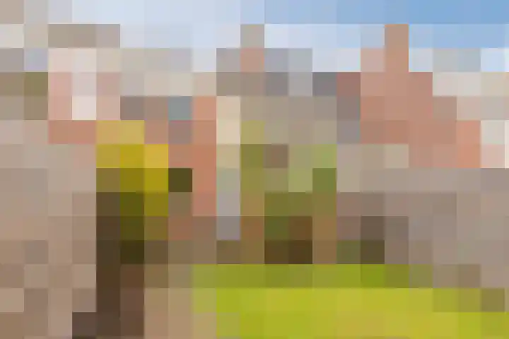 Vlietwaard 168 Alkmaar thumbnail 41