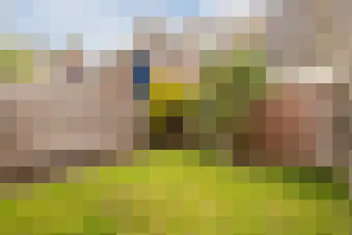 Vlietwaard 168 Alkmaar thumbnail 43