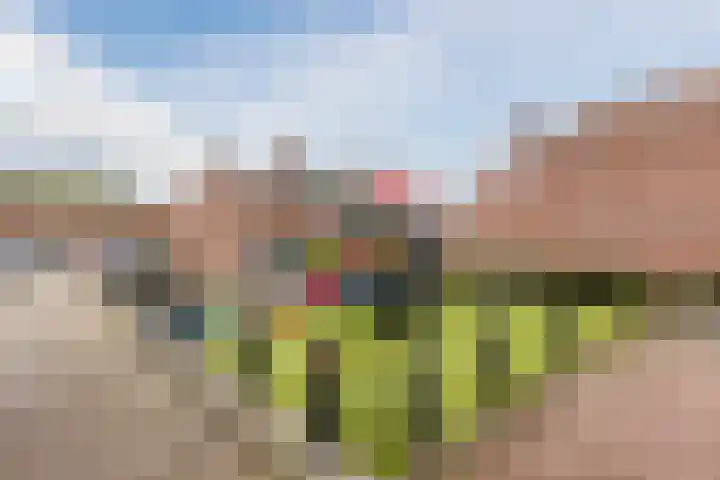 Vlietwaard 168 Alkmaar thumbnail 50