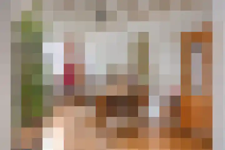 Vlietwaard 17 Alkmaar thumbnail 11