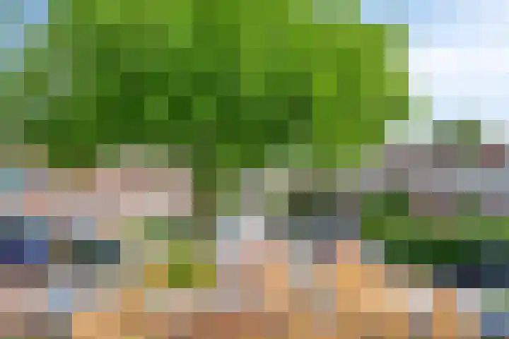 Vlietwaard 17 Alkmaar thumbnail 17
