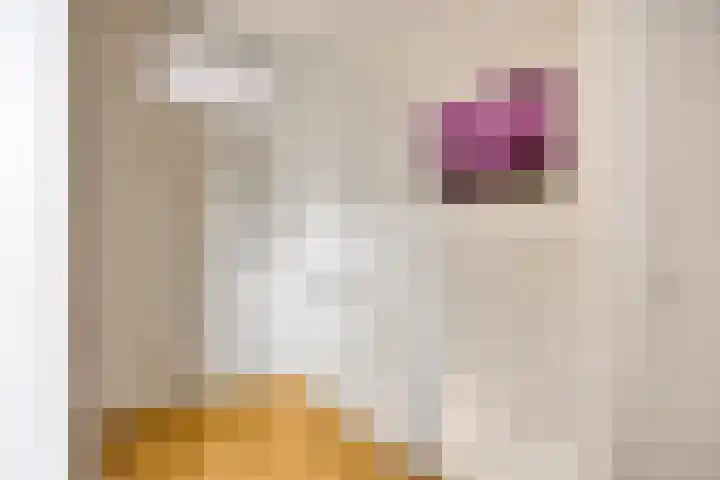 Vlietwaard 17 Alkmaar thumbnail 20