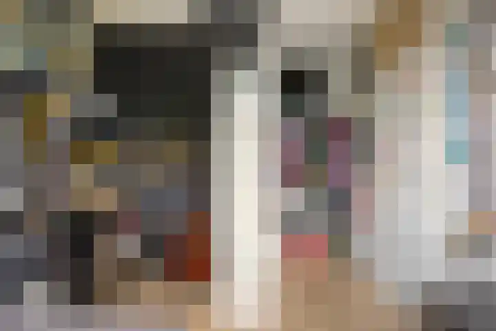 Vlietwaard 17 Alkmaar thumbnail 24