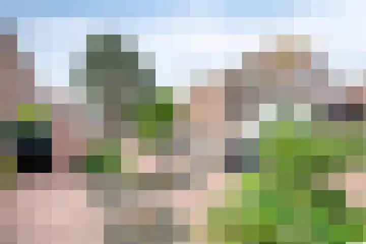 Vlietwaard 17 Alkmaar thumbnail 33