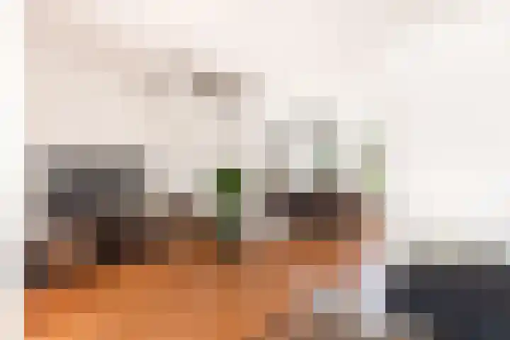 Vlietwaard 174 Alkmaar thumbnail 10